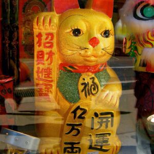 Lucky Cat, Window SF